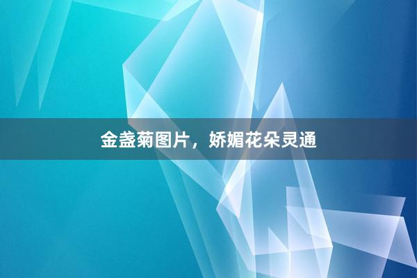 金盏菊图片，娇媚花朵灵通